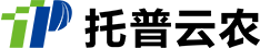 公司架構