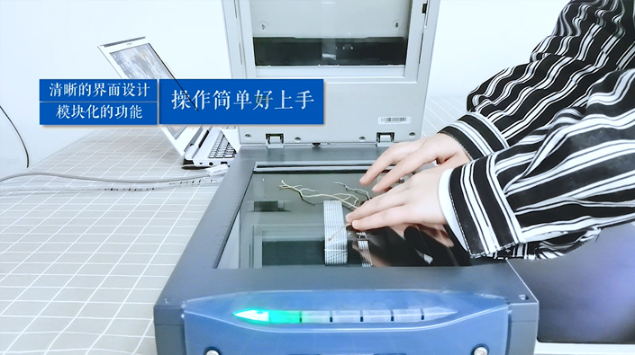 根系分析系統