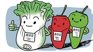 標(biāo)準(zhǔn)化生產(chǎn)＋專業(yè)化監(jiān)管 山東打出組合拳，保障農(nóng)產(chǎn)品質(zhì)量安全