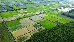 2020年全國高標準農(nóng)田建設(shè)任務(wù)完成過半