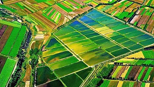 云南省完成耕地質(zhì)量等級調(diào)查評價