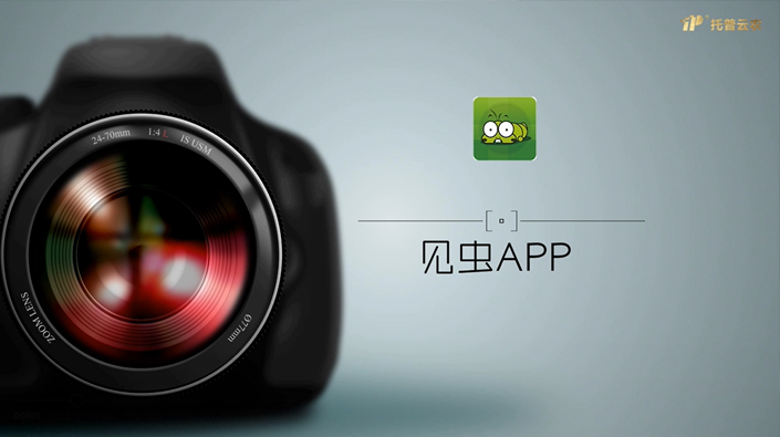 見蟲APP