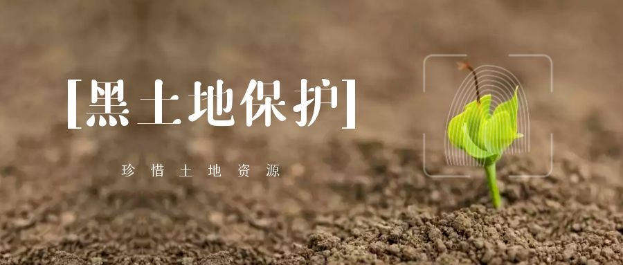 吉林：走出一條開發(fā)與保護(hù)并舉的黑土地治本之路