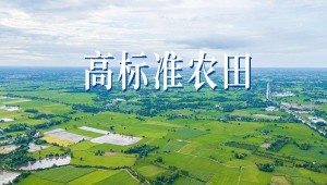 “技”“管”融合、三位一體，看托普云農如何助力高標準農田建設
