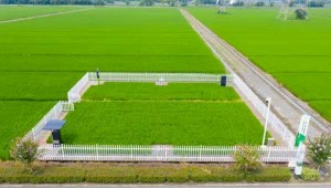 托普云農高標準農田建設案例：用實踐書寫政策新篇